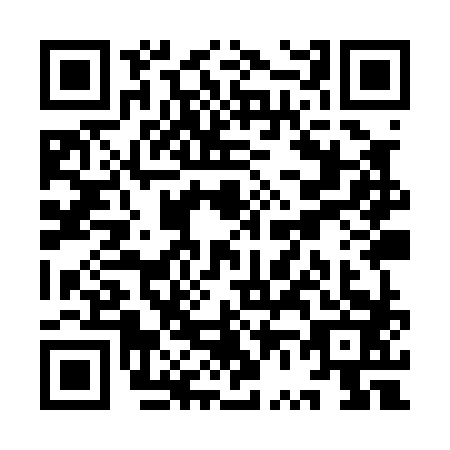 QR code for YV9-P838