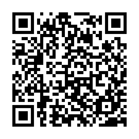 QR code for YVG-384