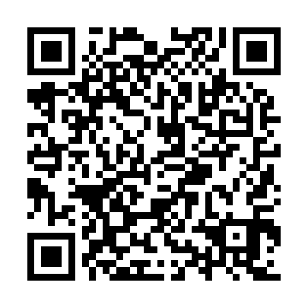 QR code for YYJ-911