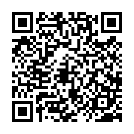 QR code for YYP-4029