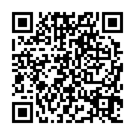 QR code for plate YYP-3802