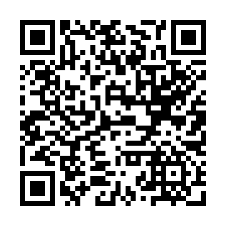 QR code for plate YZT-397