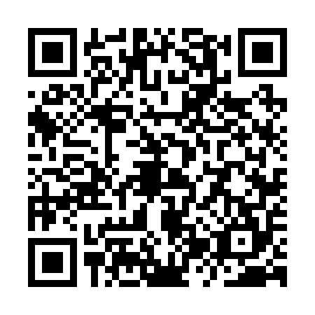 QR code for YZV2543