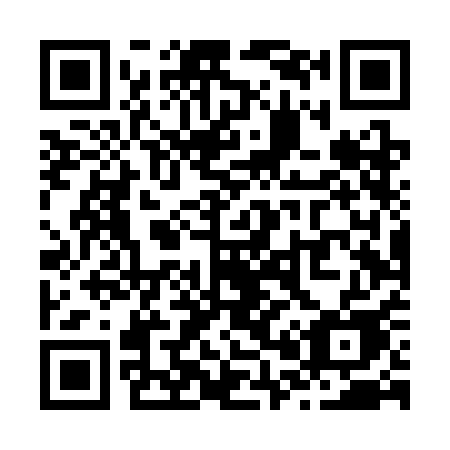 QR code for plate Z04-SAE