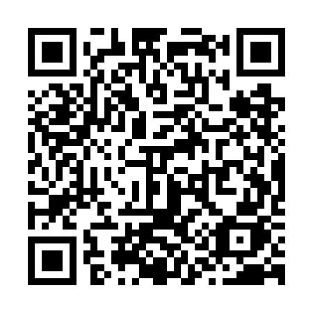 QR code for Z11-WGJ