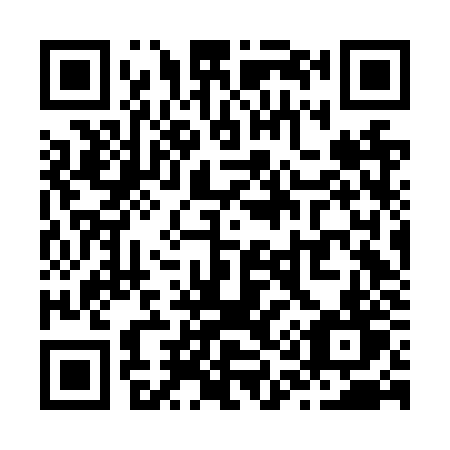 QR code for plate Z16-NZT