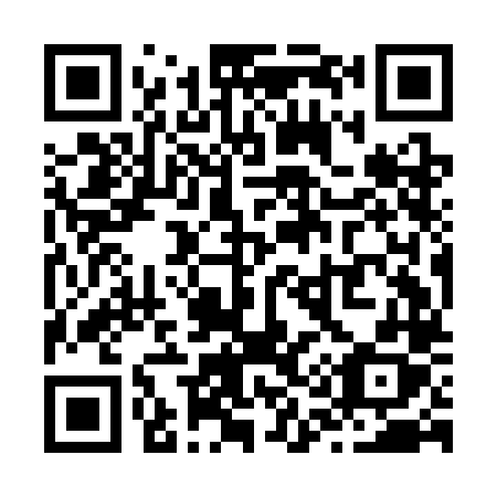 QR code for plate Z19-CLX