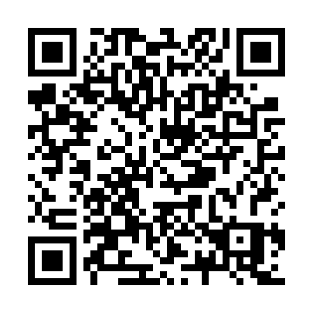 QR code for plate Z29-FRS