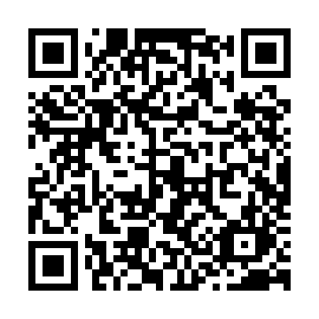 QR code for plate Z30-QJL