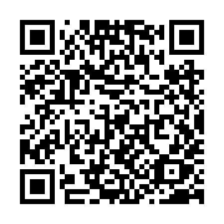 QR code for plate Z33-RXX