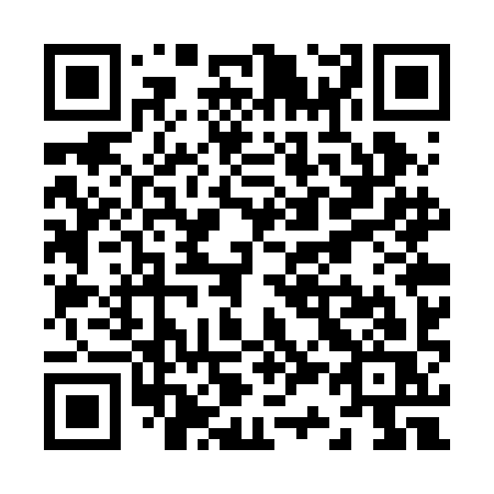 QR code for plate Z37-RIS