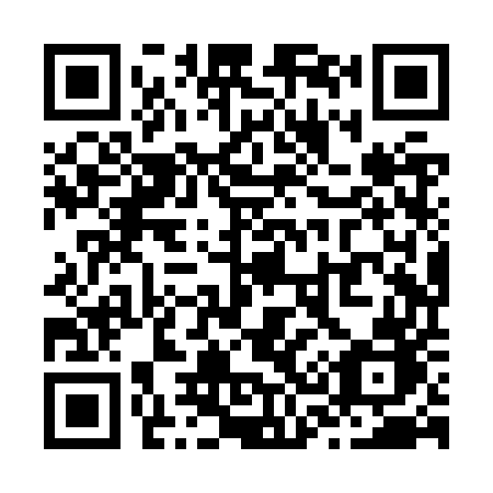 QR code for plate Z38-ZUB