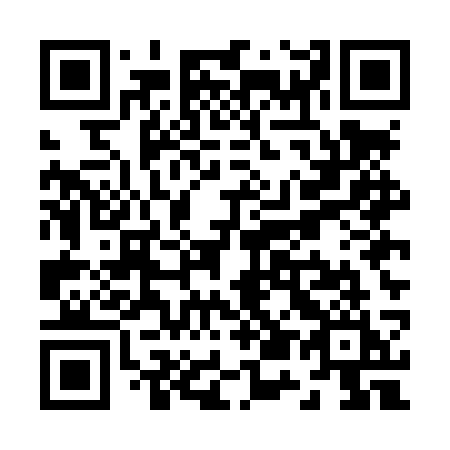 QR code for Z55LSI