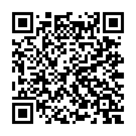 QR code for plate Z55-TDL