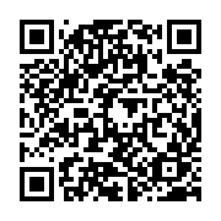QR code for Z81-UIR