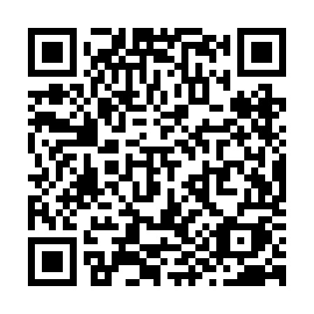 QR code for plate Z91-ROI