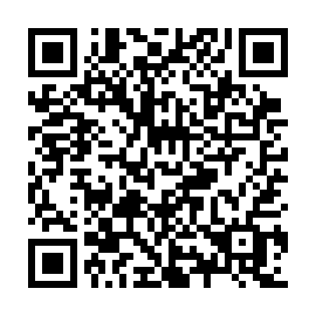 QR code for plate Z99-SAF