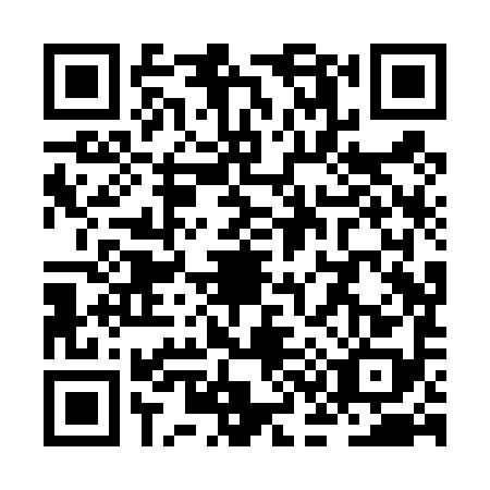 QR code for ZC8-T981