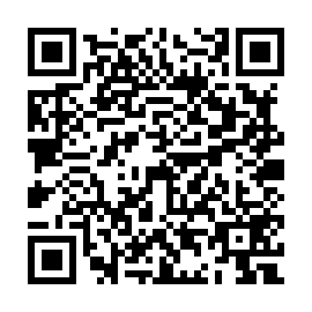 QR code for ZD0-X593