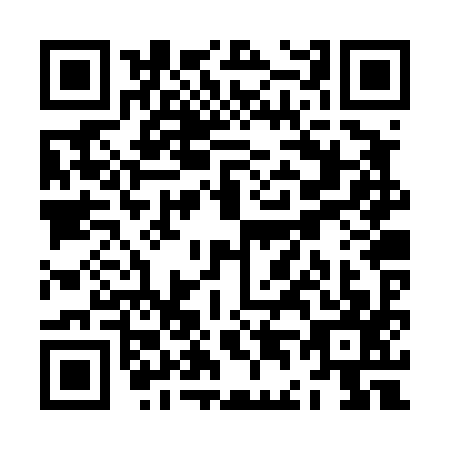 QR code for ZD2T978