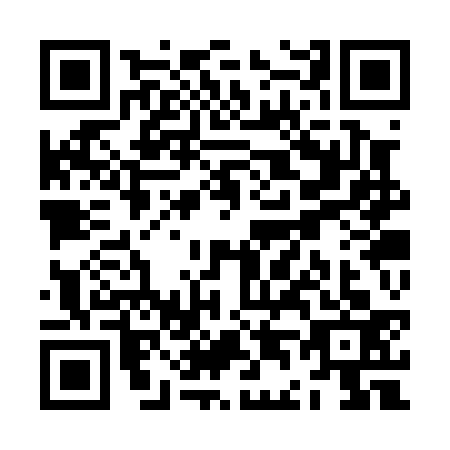 QR code for ZD3P335