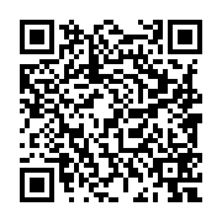 QR code for ZDL-9590
