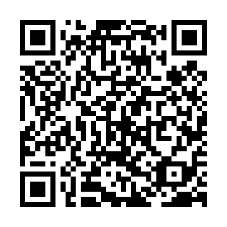 QR code for plate ZDV-419