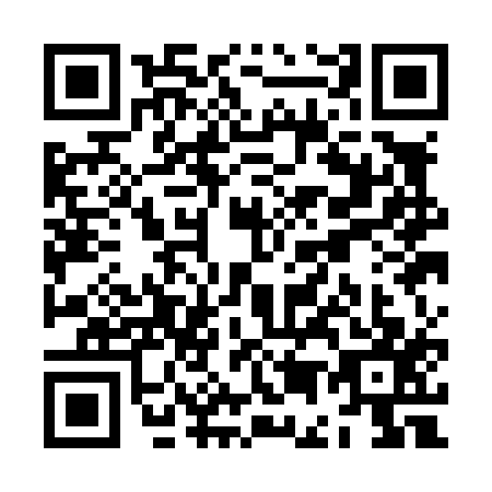 QR code for ZE1-L176