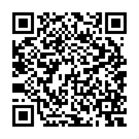 QR code for ZEN-2453