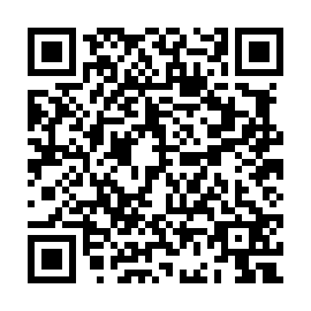 QR code for ZF0-L220