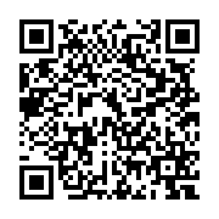 QR code for ZG3-N653