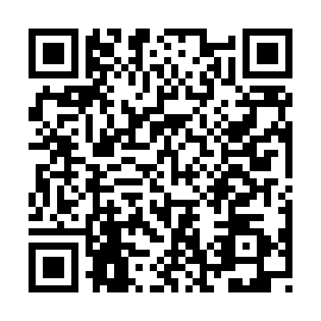 QR code for ZG5-L304