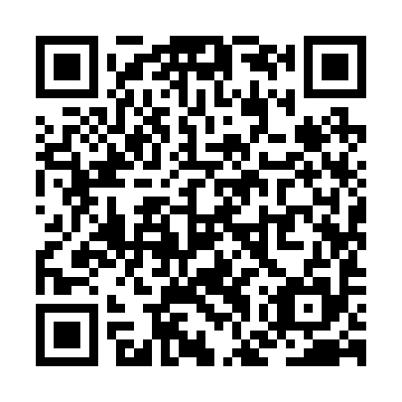 QR code for ZGY-295