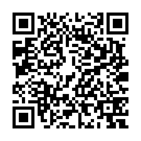 QR code for ZH5-T795