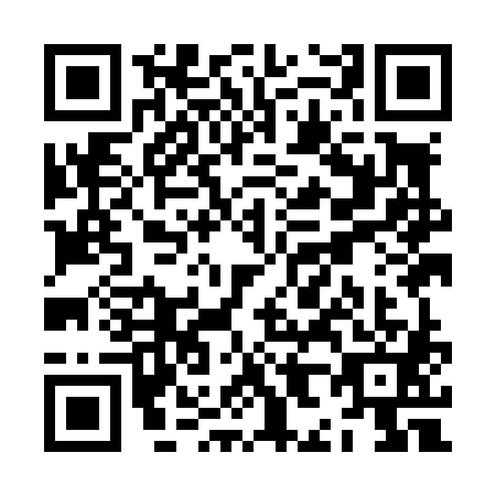 QR code for ZH9-L817