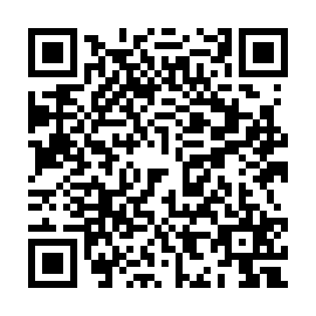 QR code for ZH9C250