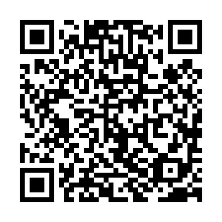 QR code for ZHH498