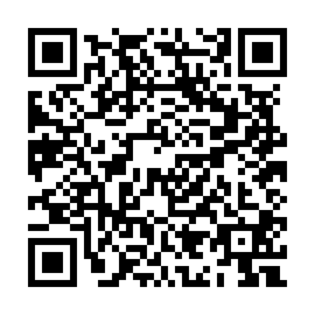 QR code for ZI0-N009