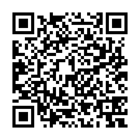 QR code for ZI0K385