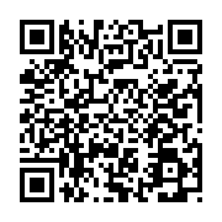 QR code for ZI8-A861
