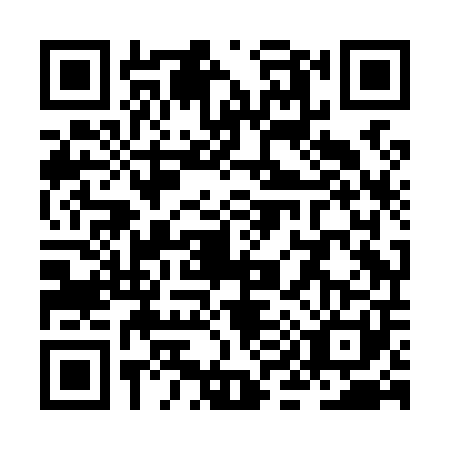 QR code for ZI8-L016