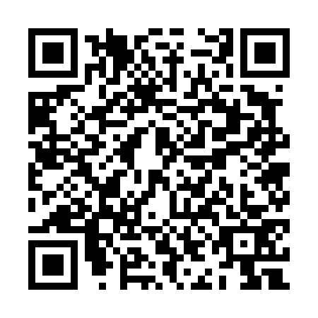 QR code for ZIG4733