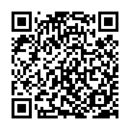 QR code for plate ZIS-495