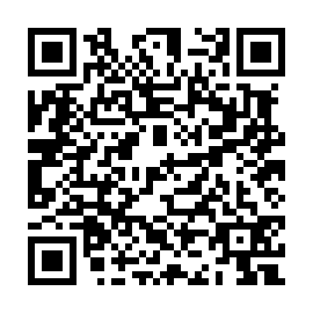 QR code for ZJ0-L325