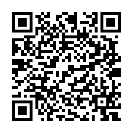 QR code for ZJ1-T954