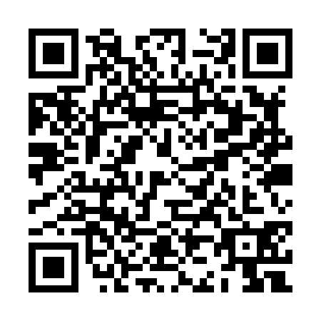 QR code for ZJ1-X303
