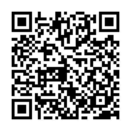 QR code for ZJ3W509