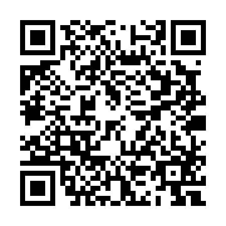 QR code for ZK1-P863