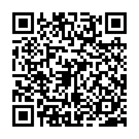 QR code for ZL0-R209