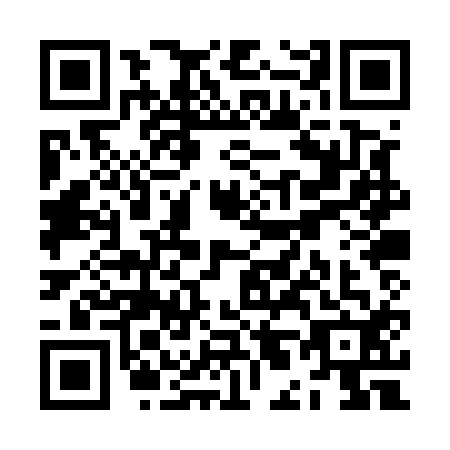 QR code for ZL0-U125